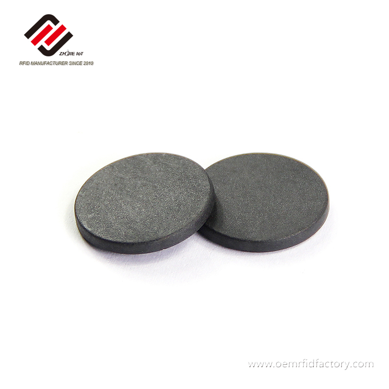 125-kHz-PPS-RFID-Tag (nur lesbar) mit EM4200-Chip