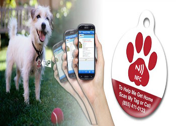  NFC digitalisiert die Informationen, um viele fehlende Haustiere zu retten