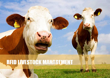  RFID Livestock Management.